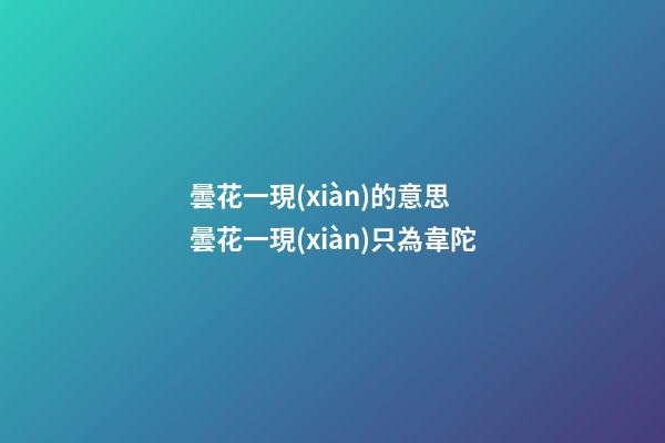 曇花一現(xiàn)的意思 曇花一現(xiàn)只為韋陀